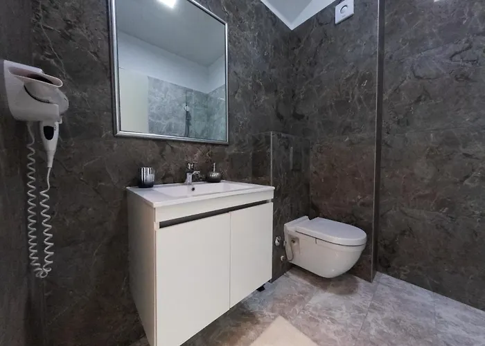 Building Stefan Navodari